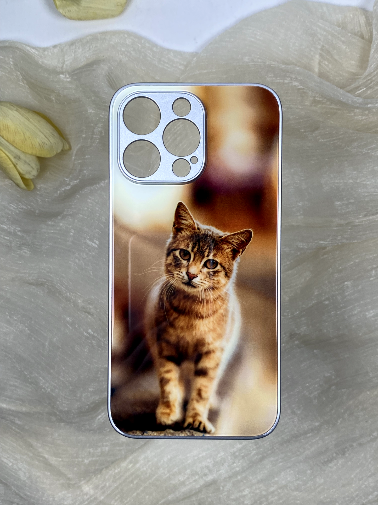 Your Cat’s Photo, Your Phone’s New Look: Customize Now!